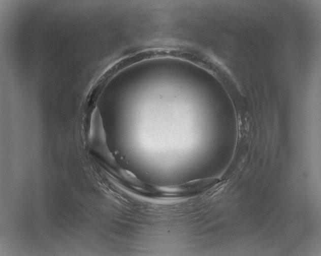 X0000056381352200509021830