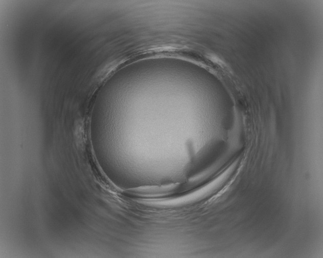 X0000056381353200509021830