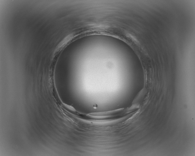 X0000056381354200509021830
