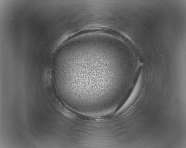 X0000056381355200509021830