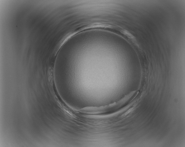 X0000056381369200509021830