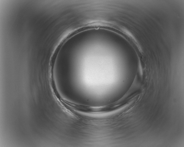X0000056381376200509021830