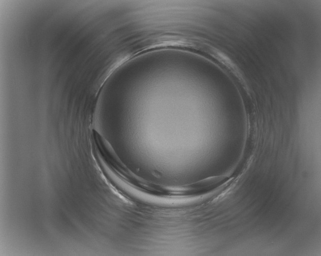 X0000056381377200509021830