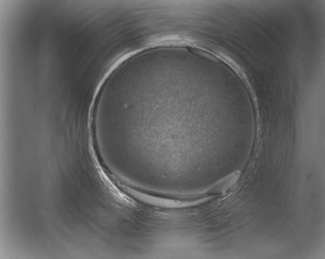 X0000056381392200509021830