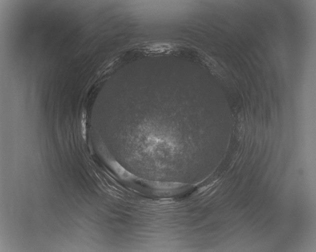 X0000056381394200509021829