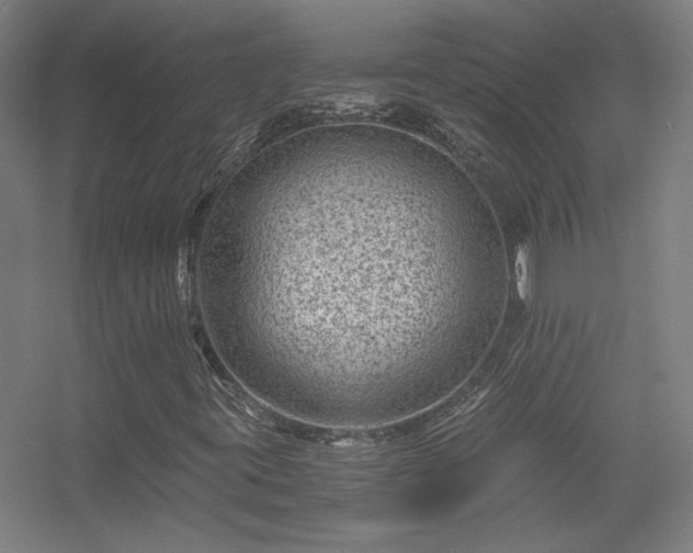 X0000056381395200509021829
