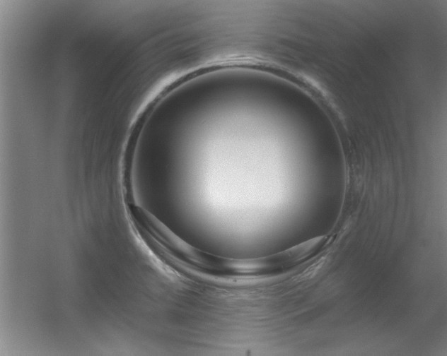 X0000056381422200509021829