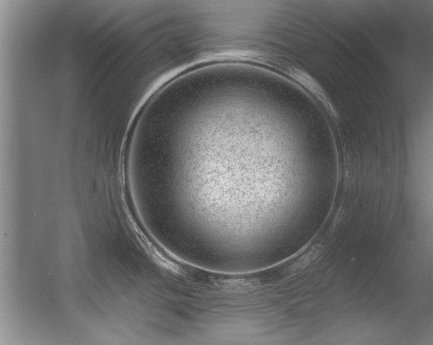 X0000056381436200509021829