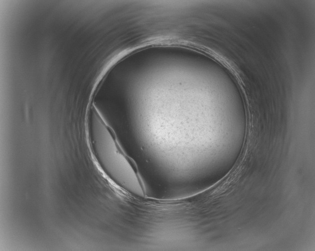 X0000056381440200509021830