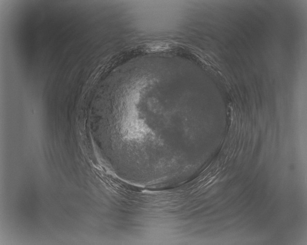 X0000056381441200509021829