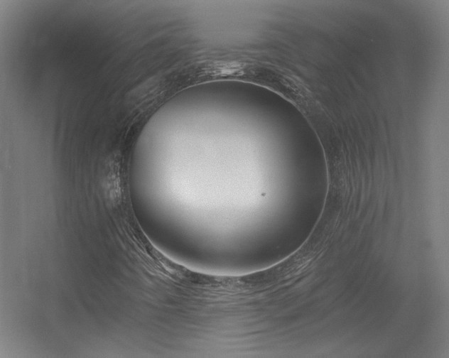 X0000056381442200509021829
