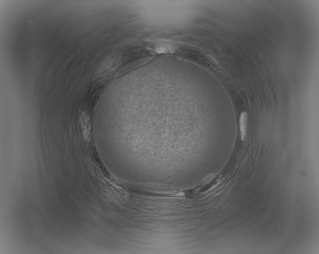 X0000056381443200509021829