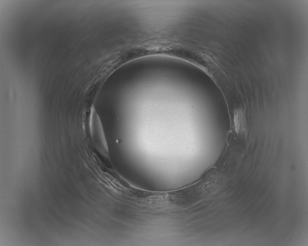 X0000056381444200509021829