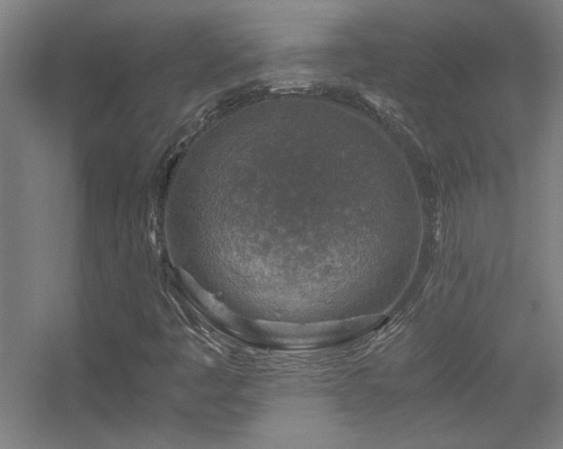 X0000056381445200509021829