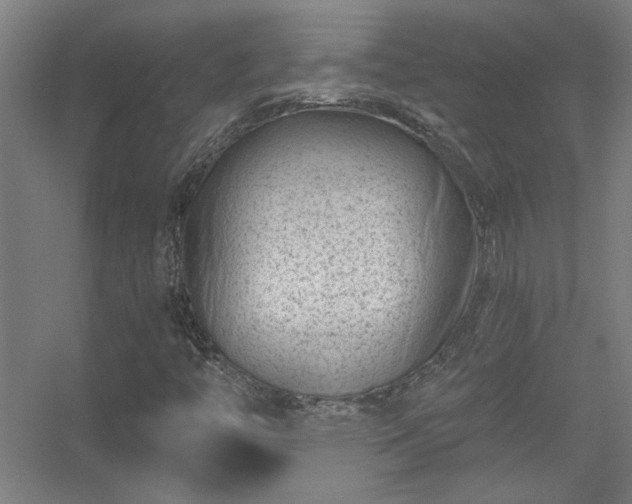 X0000056381446200509021829