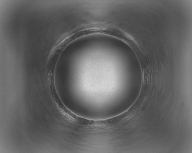 X0000056381448200509021829