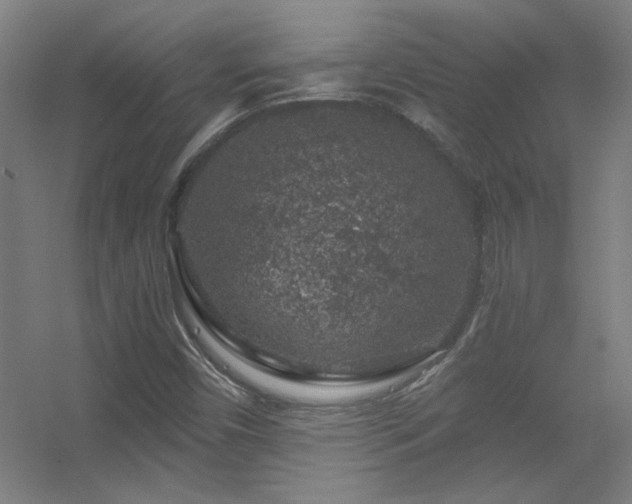X0000056381450200509021829