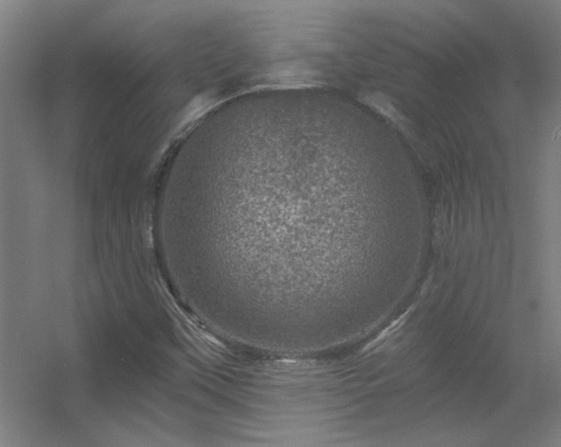 X0000056381451200509021829