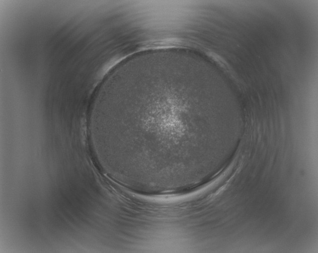 X0000056381457200509021828