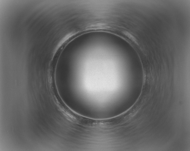 X0000056381458200509021828