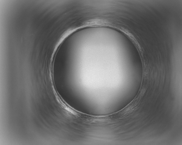 X0000056381486200509021828