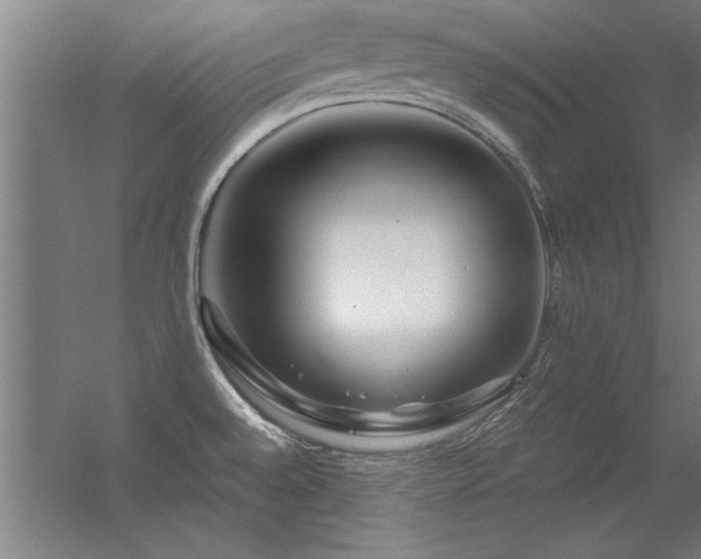 X0000056381528200509021828