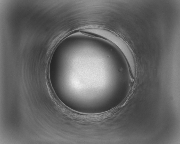 X0000056380001200509091727