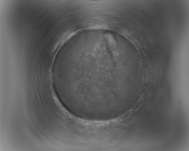 X0000056380002200509091727