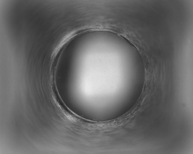 X0000056380005200509091727