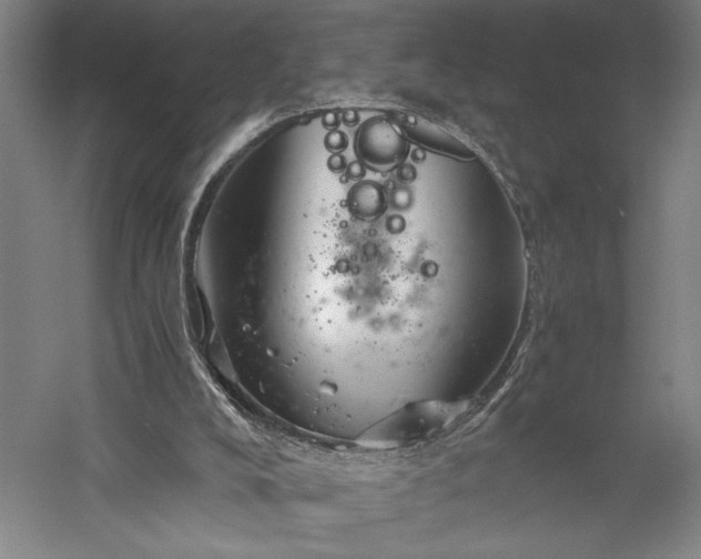 X0000056380008200509091727