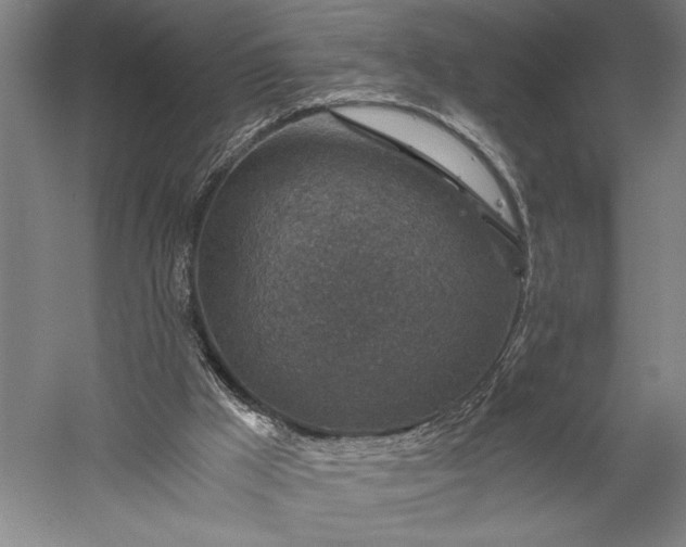 X0000056380009200509091727