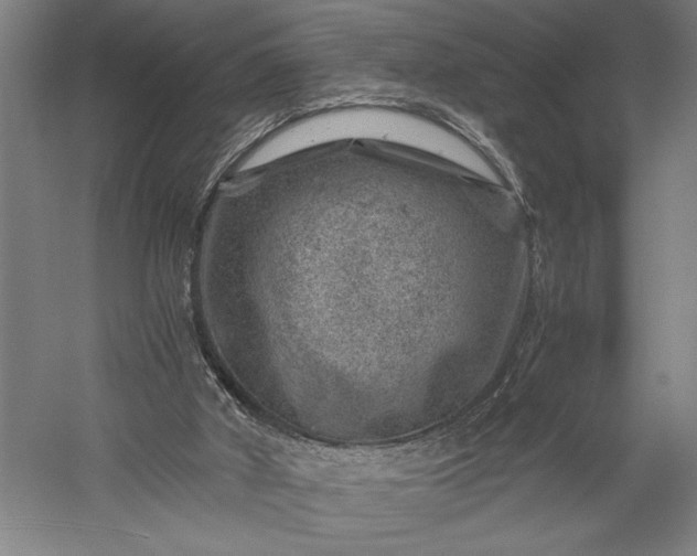 X0000056380010200509091727