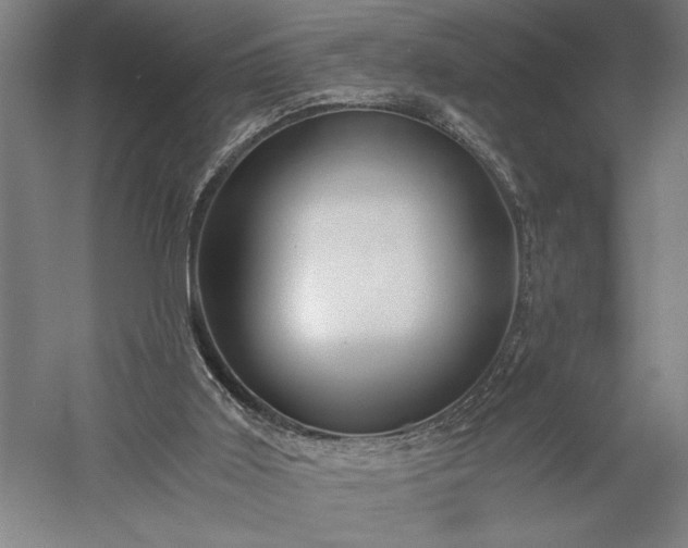 X0000056380011200509091727