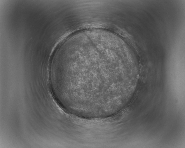 X0000056380012200509091727