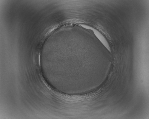 X0000056380014200509091727