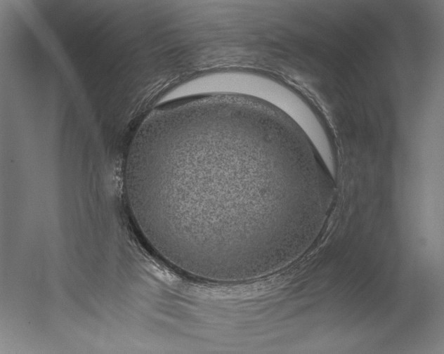 X0000056380017200509091727