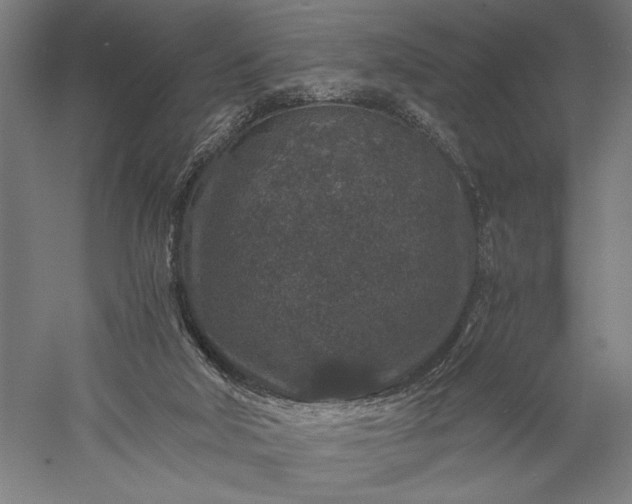 X0000056380018200509091727