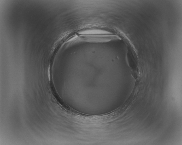 X0000056380019200509091727