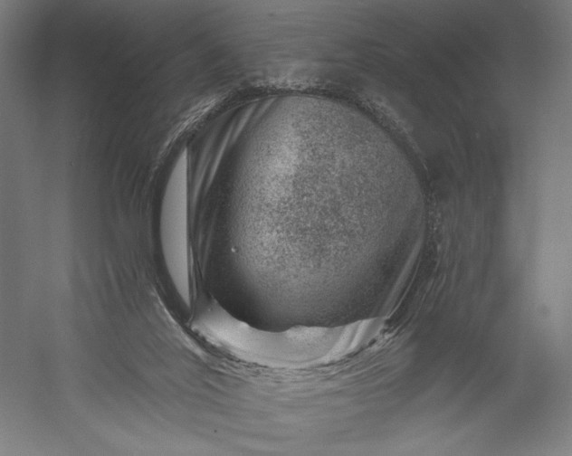 X0000056380020200509091727