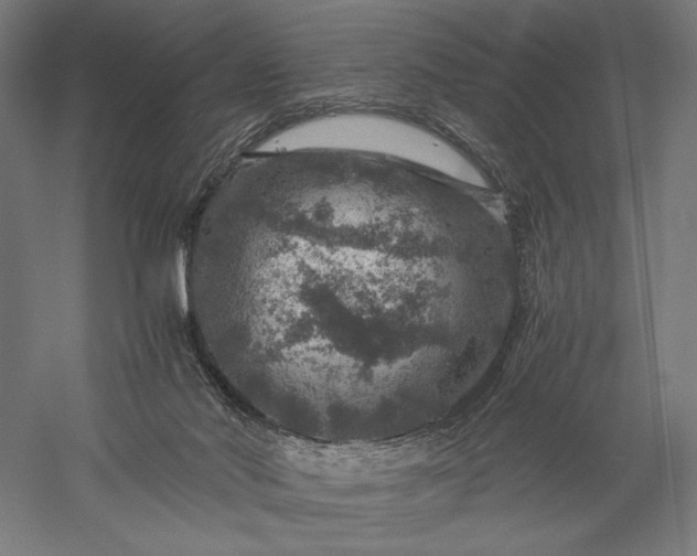 X0000056380022200509091727