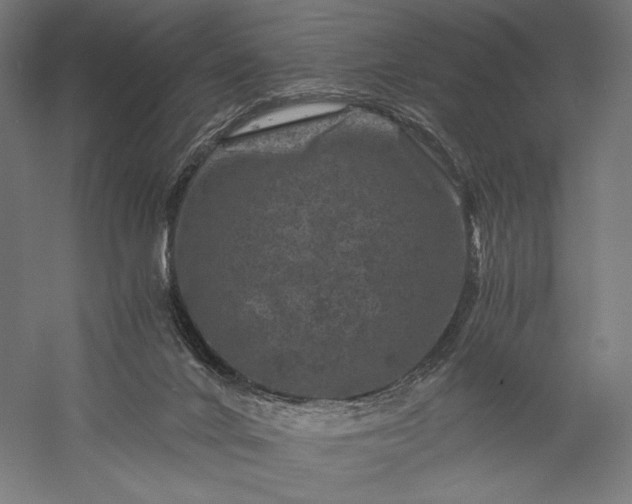 X0000056380024200509091727