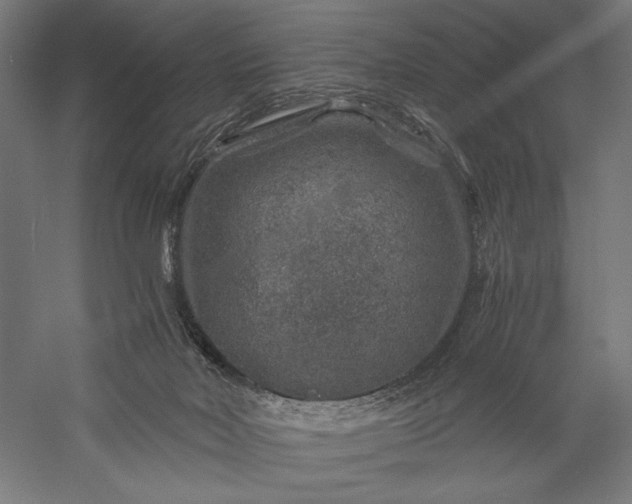 X0000056380026200509091727