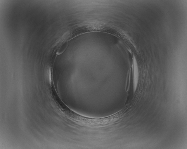 X0000056380027200509091727