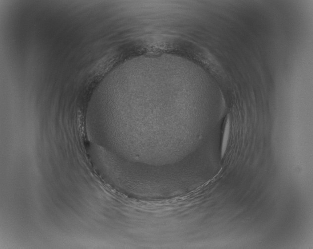 X0000056380029200509091727