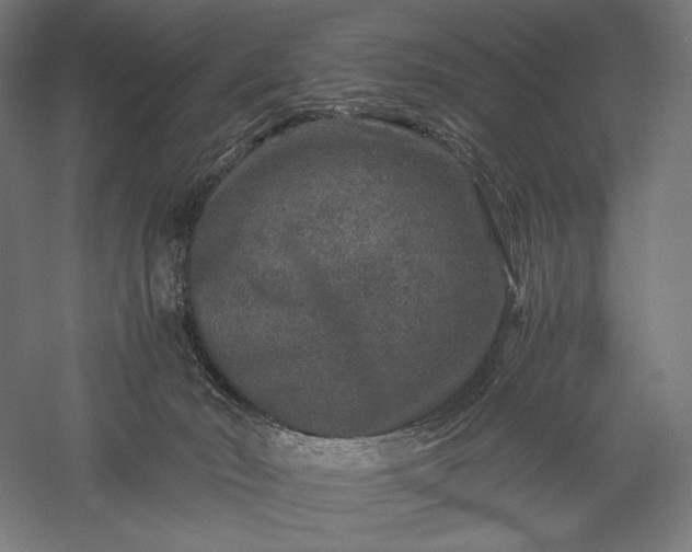 X0000056380030200509091727