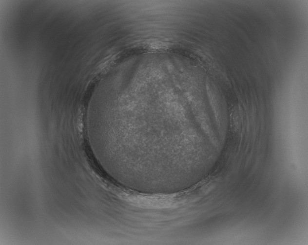 X0000056380032200509091727