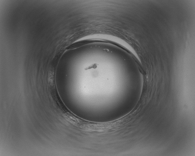 X0000056380033200509091727