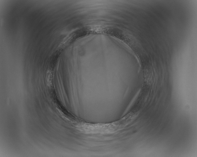 X0000056380036200509091727