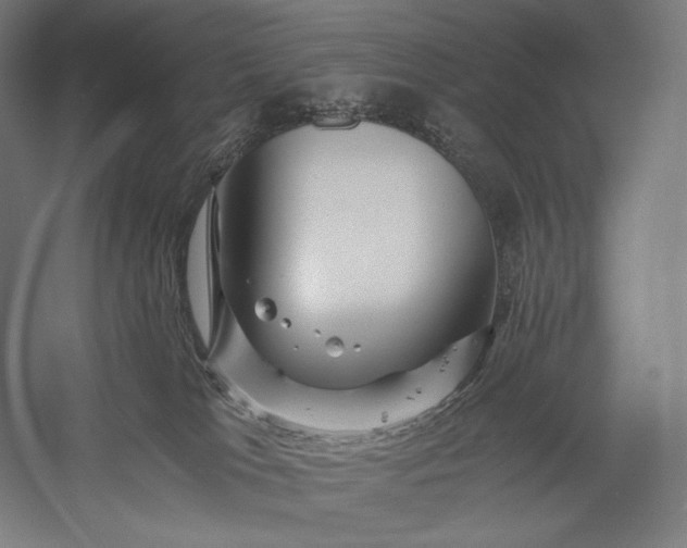 X0000056380037200509091727