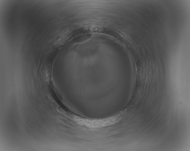 X0000056380039200509091727